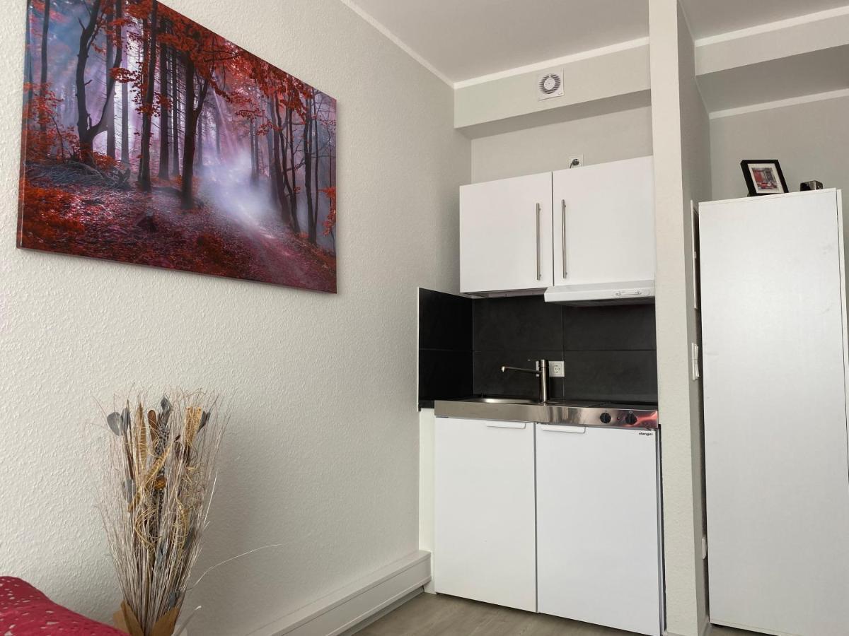 Business Appartement Mainz Duo المظهر الخارجي الصورة